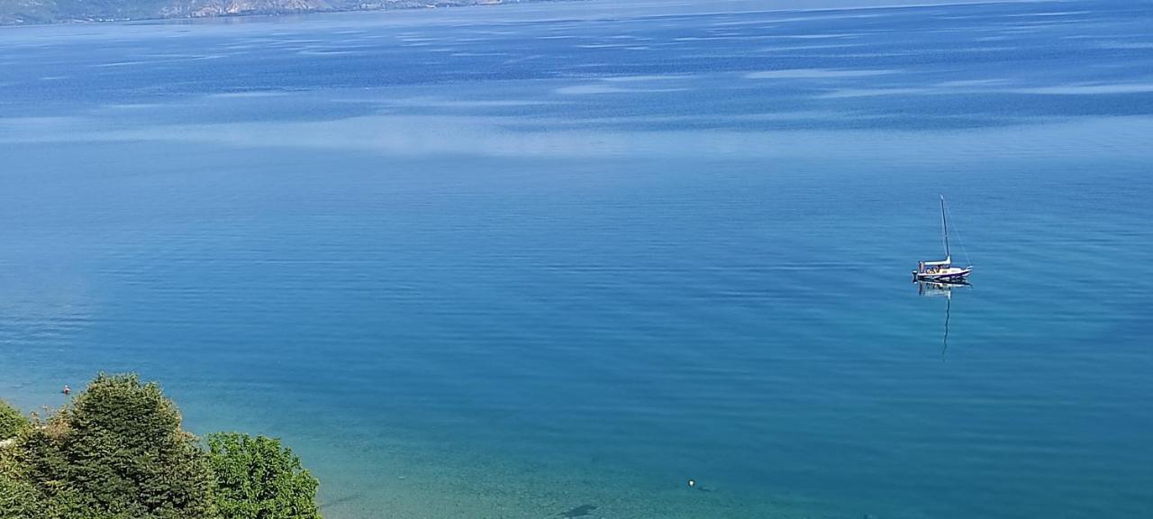 Villa Eros Apartments 2 ستروغا المظهر الخارجي الصورة